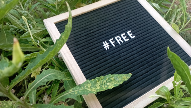 白板上自由书写图片下载