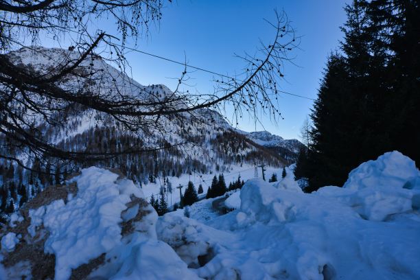 冬季景观与树木，照片图片数码图像，在意大利欧洲阿尔卑斯山山脉特伦托和贝卢诺之间的意大利北部，欧洲图片下载