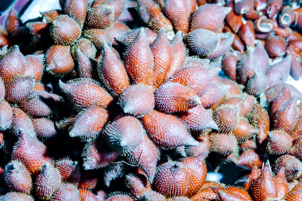 泰国曼谷美食的美丽照片图片下载