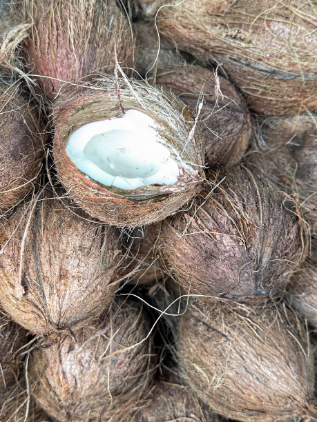 户外的全画幅图像，农产品市场摊位展示了一堆成熟的椰子，椰子，一个椰子裂开展示了白色的椰子肉，高架视图图片下载