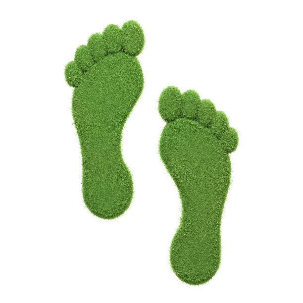 独立的绿草脚印，代表环保的一步或碳足迹意识图片下载