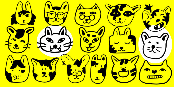 cats_head_line_20图片下载