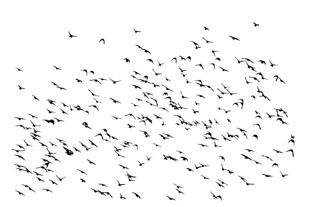 鸟儿在自然景观中飞翔。向量鸟类。白色背景。图片下载