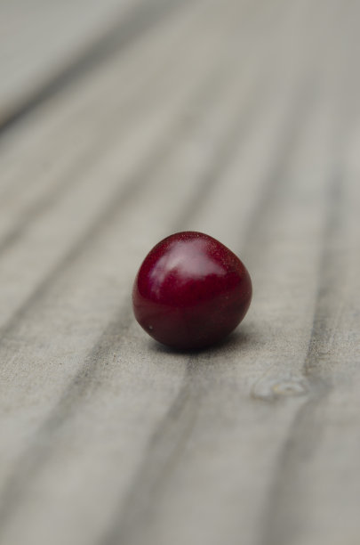 一种甜美的樱桃，最近在木头上收获，从上面看图片下载