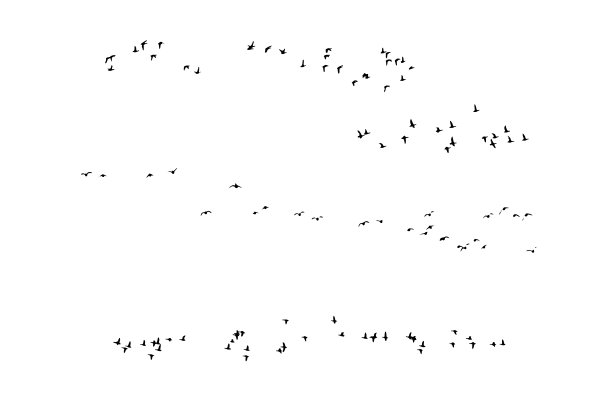 鸟儿在自然景观中飞翔。向量鸟类。白色背景。图片下载