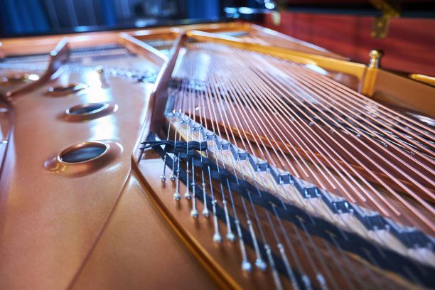 乐器钢琴特写。内部结构。音乐会乐器。图片下载