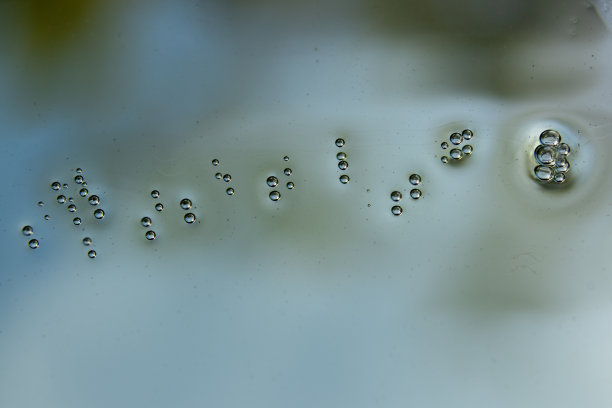 水滴聚在一起的照片。用微距镜头或特写镜头拍摄。图片下载