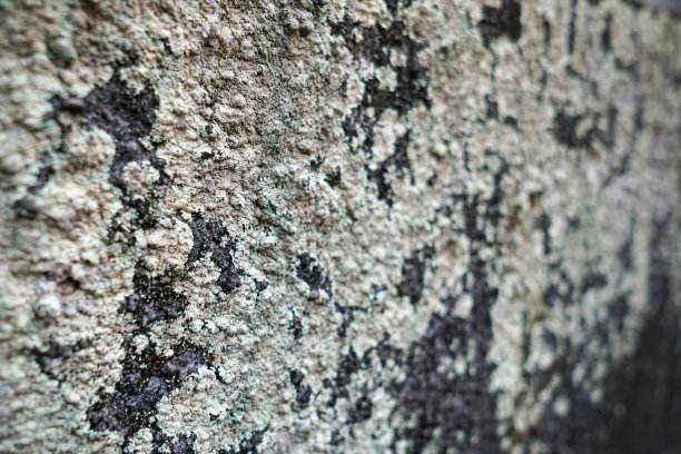 未完成的墙壁，水泥和红砖暴露出真菌，质朴，背景壁纸，聚焦，散焦的照片图片下载