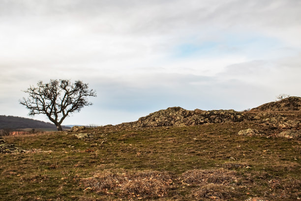 Grota Haiducilor, DN22D 12，欧洲，罗马尼亚，考加吉亚，2024年图片下载