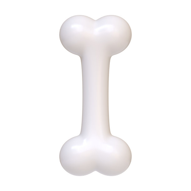 白色背景上的白骨图片下载