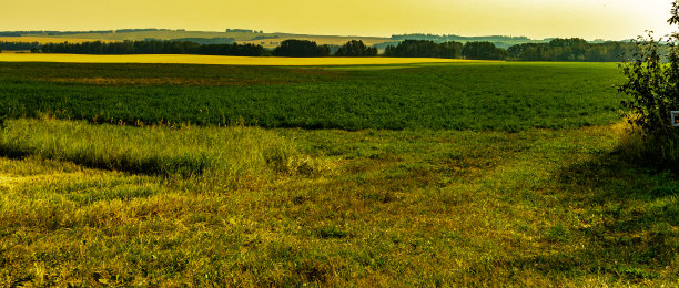 在加拿大阿尔伯塔省红鹿县附近开车图片下载