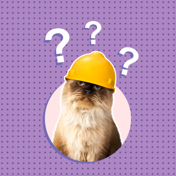 戴着防护头盔的米色猫在想带问号的东西图片下载