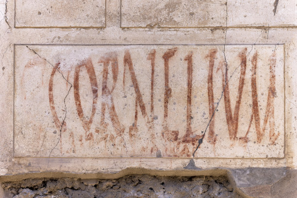 庞贝城墙上的涂鸦图片下载
