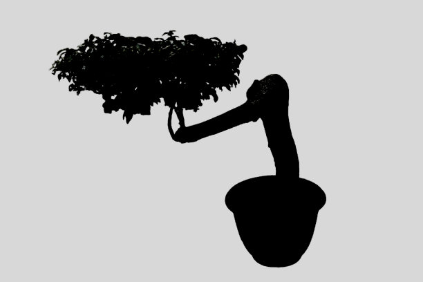 黑色植物或树在花盆孤立的白色背景。插图图片下载