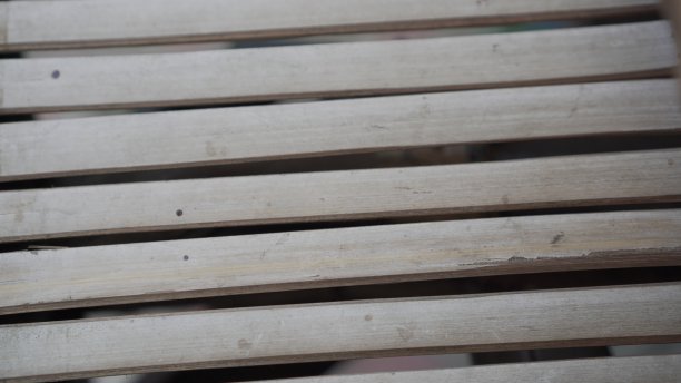 竹茎的表面排列整齐图片下载