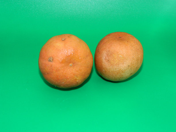 厨房里经常出现的食物成分的极端微距照片，背景是绿色的。图片下载