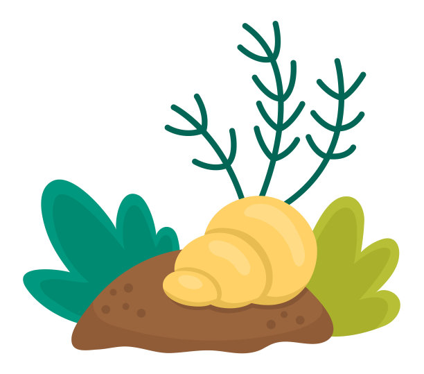 矢量海洋组成与岩石，海藻，贝壳，海洋植物，沙子。美人鱼的土地概念。白色背景上孤立的海洋或海洋生物自然装饰图片下载