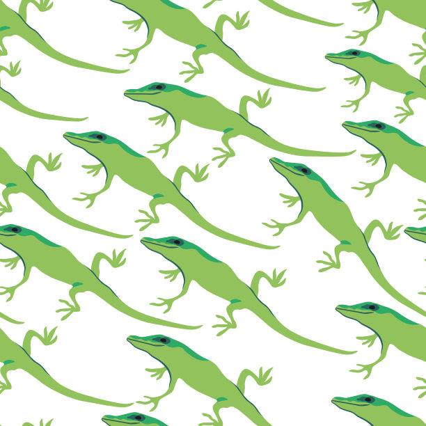 birds_lizzards_patterns图片下载