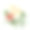 蜡烛用杉木、一品红、桉树树枝水彩手绘插画，构图孤立于白色之上。圣诞快乐，新年喜庆，新年佳节。卡片，礼物。图片下载