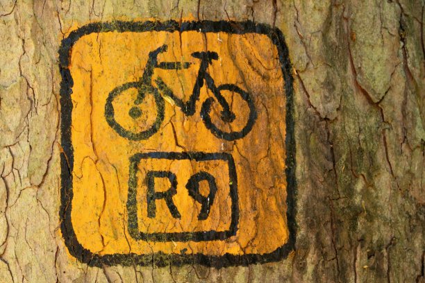 标志着森林自行车路线R9图片下载