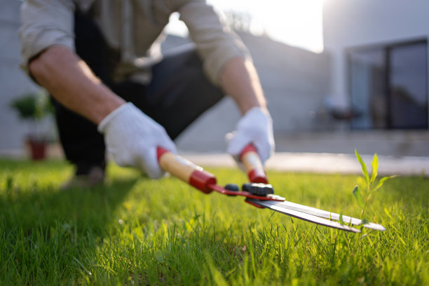 无法辨认的白人园丁正在用剪枝剪剪草图片下载