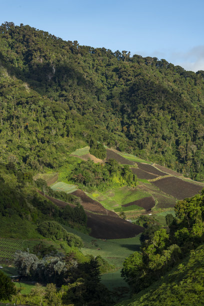 航拍照片，乡村景观，农场，村庄-库存照片图片下载