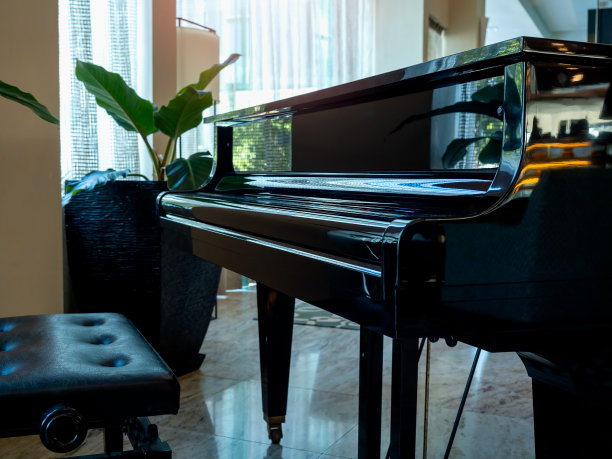 大堂房或酒店餐厅，没有人的黑色钢琴，空的皮椅和花盆，旁边是白色窗帘的大玻璃窗。图片下载