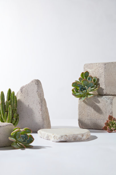 从正面角度看极简主义的白色质感照片，正面是一个白色的平石底座用于展示产品，背面是一些浅灰色的岩石作为装饰，点缀着一些绿色的仙人掌植物图片下载