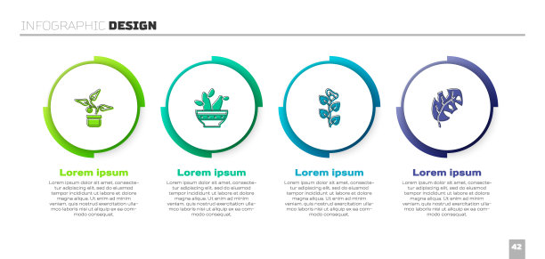 盆栽，仙人掌佩奥特，常青藤枝和热带树叶。业务信息图表模板。向量图片下载