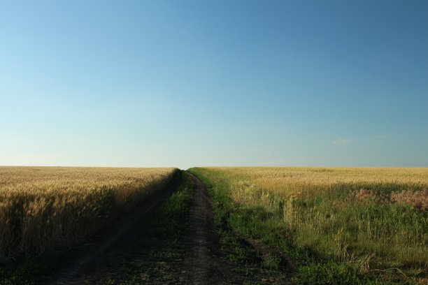 穿过田野的土路图片下载