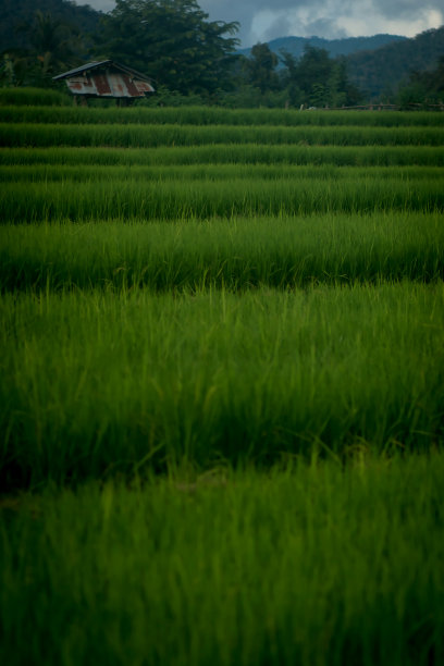 江岛区孟港的自然风光照片。泰国清迈省图片下载