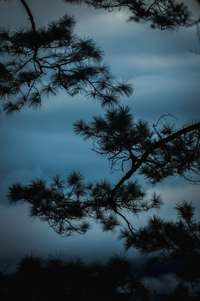 江岛区孟港的自然风光照片。泰国清迈省图片下载