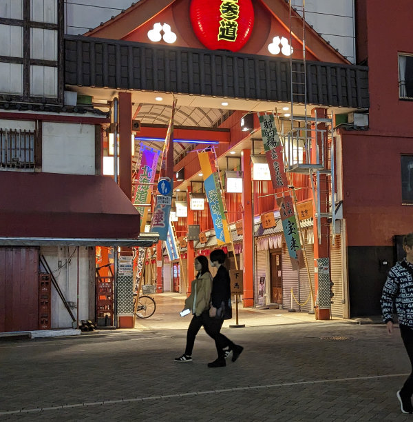 日本东京浅草西参道商业街图片下载