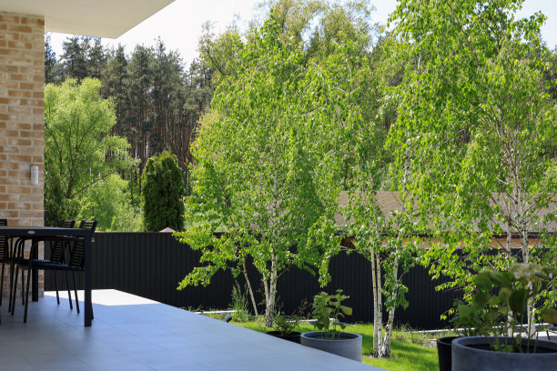 当地景观设计图片下载