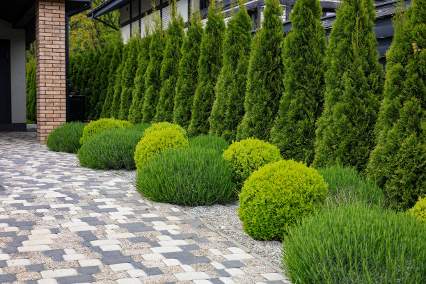 当地景观设计图片下载