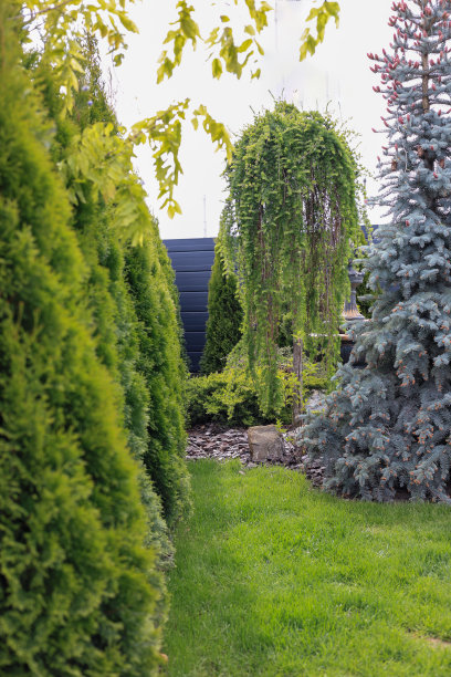 当地景观设计图片下载