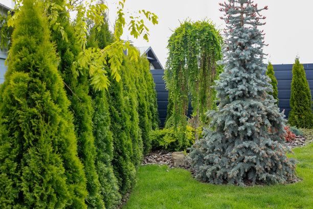 当地景观设计图片下载