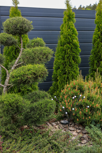 当地景观设计图片下载