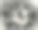小女孩抱着一只小狮子当宠物，19世纪90年代的复古照片图片下载