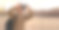 男子摄影师与背包和手机拍摄照片的秋天风景旅游。生活方式的爱好图片下载