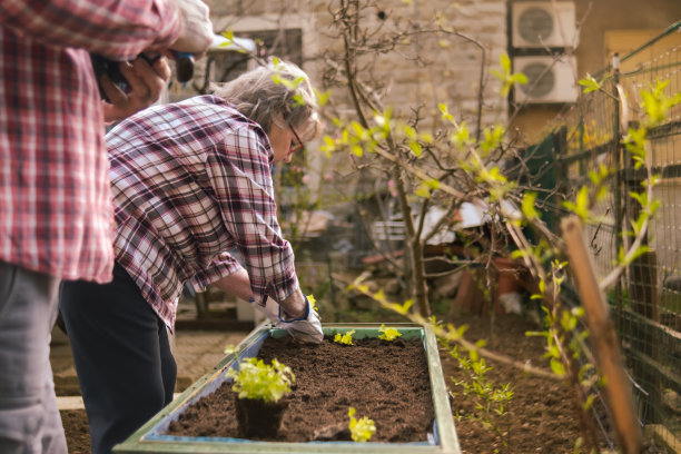 老年人种植伴生植物以防虫图片下载
