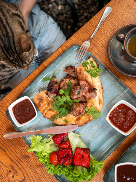 餐桌上，猫被抱在一盘食物旁边，俯视图。好奇的猫在主人温柔的约束下探索食物图片下载