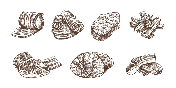 一套手绘的肉片草图，牛排，火腿，猪肉，培根，排骨。鲜肉制品。为餐厅、肉店设计菜单。复古雕刻插图。图片下载