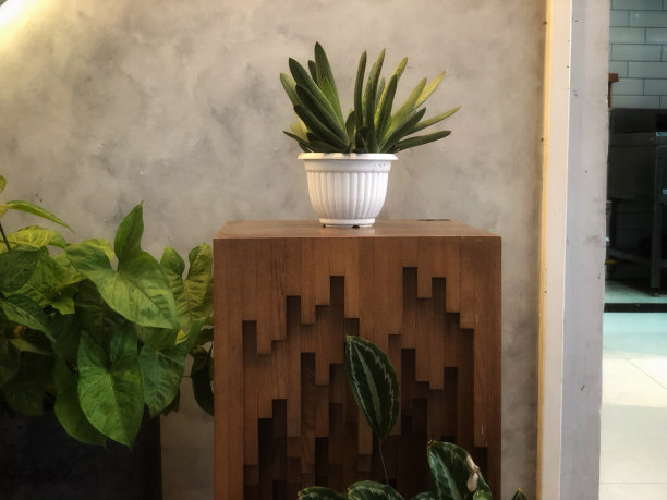 独特的桌子，花盆和植物的照片图片下载