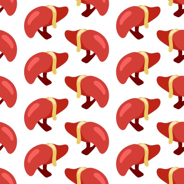 绘制肝脏。卡通插图的肝脏矢量模式的互联网。人体健康，医学。在纺织品和纸张上印刷。儿童教育插画图片下载