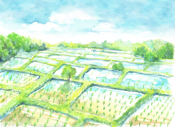 水彩画的乡村稻田风景图片下载