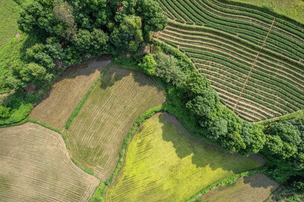 农村农田航空纹理图图片下载