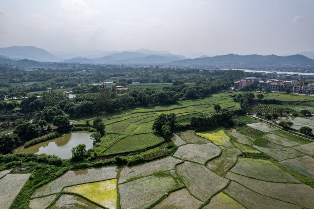 农村农田航空纹理图图片下载