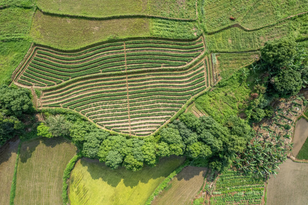 农村农田航空纹理图图片下载