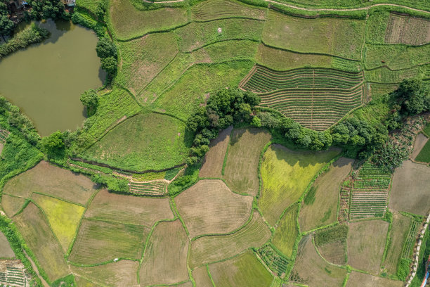 农村农田航空纹理图图片下载